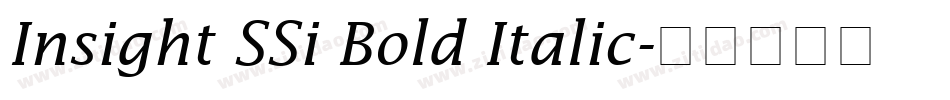 Insight SSi Bold Italic字体转换